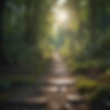 Pathways to Emotional Clarity Nature trails inviting for a reflective outdoor walk