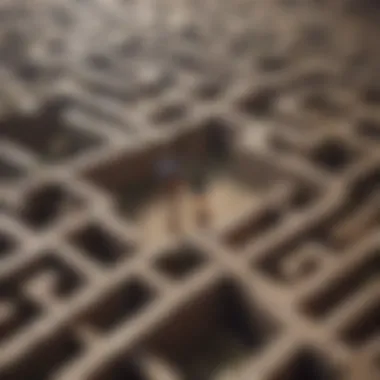 Symbolic representation of overcoming obstacles through a maze