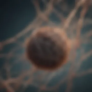 Abstract depiction of tangled threads unraveling into a connected network