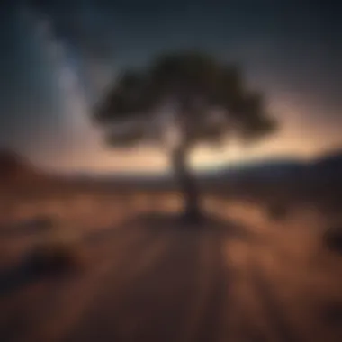 A lone tree in a vast desert landscape under a starry sky