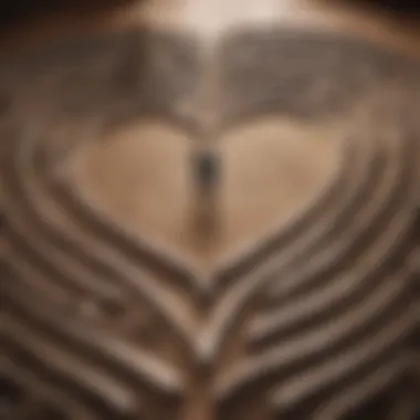 Heart-shaped labyrinth symbolizing the complexities of relationships