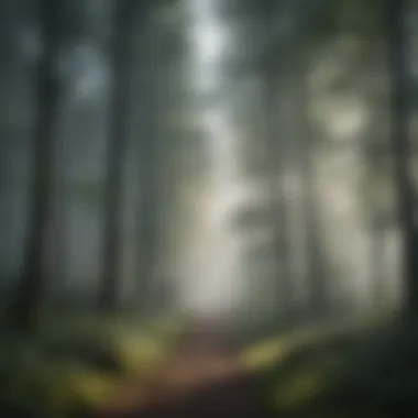 Breathing Techniques for Anxiety Relief Breathing Exercise: A serene view of a misty forest with sunlight filtering through the trees