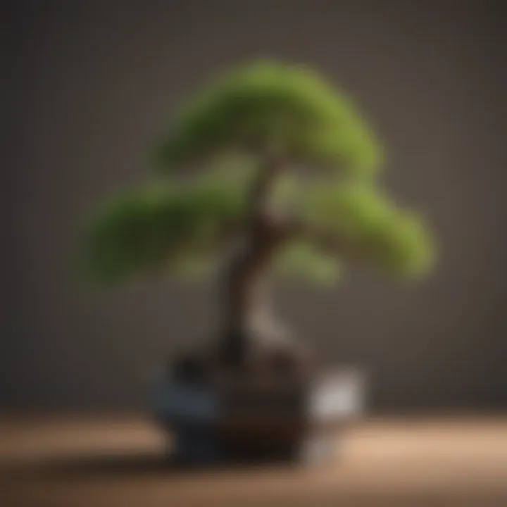 Bonsai tree symbolizing growth and resilience in anger management