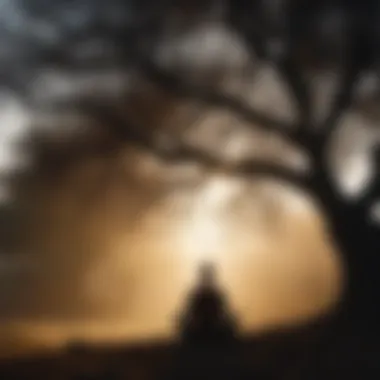 Silhouette of a person meditating under a tree