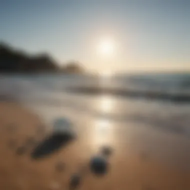 Mindful breathing exercise on a serene beach