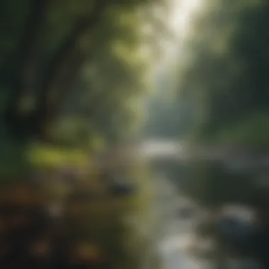 Nature scene with flowing river and lush greenery