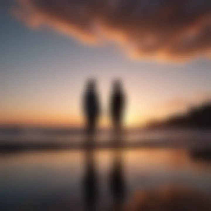 Silhouette of two friends watching the sunset together