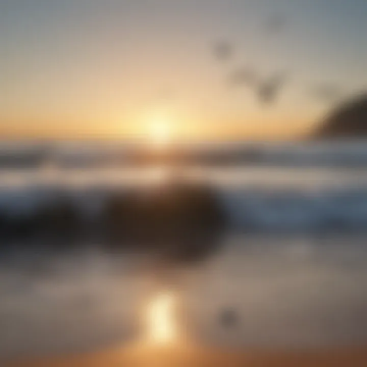 Illustration of a tranquil beach at sunrise with gentle waves and seagulls flying