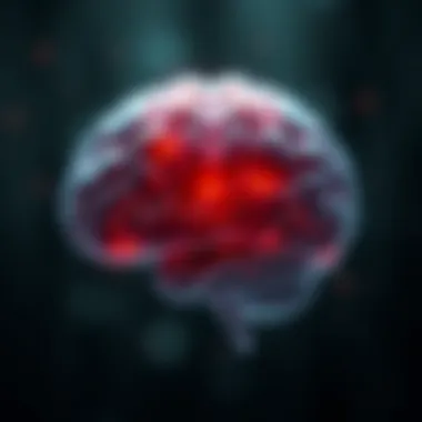 Illustration of the brain highlighting areas affected by meditation.