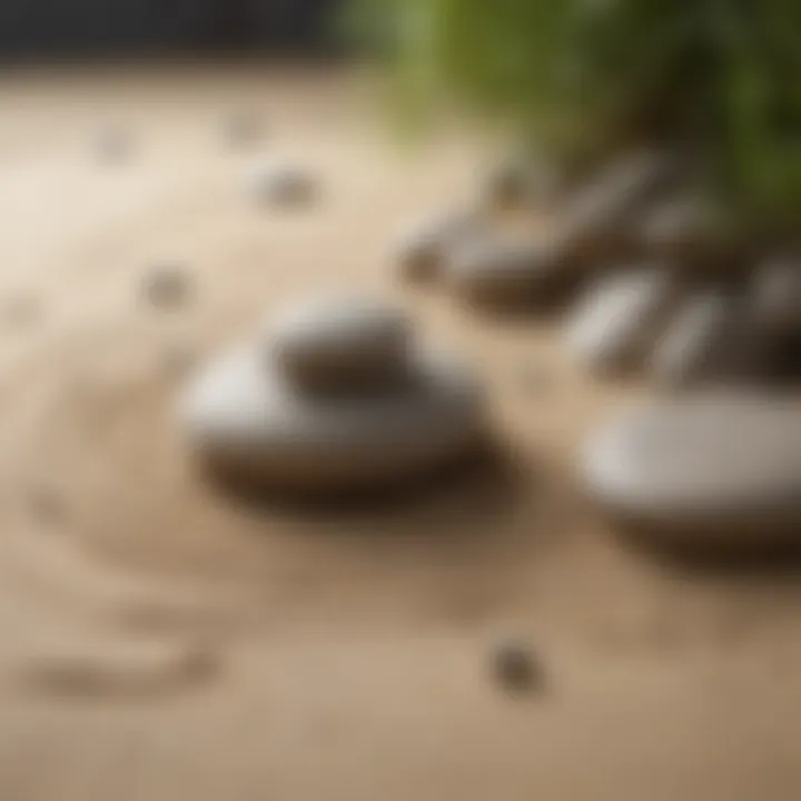 Zen garden with raked sand and stones