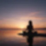 Silhouette of a meditator against a serene sunset sky