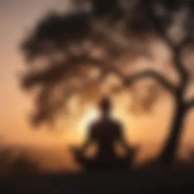 Silhouette of a person meditating under a tree at sunset