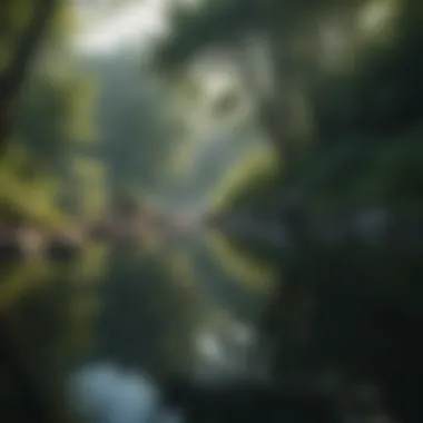 Nature's Calm: A Reflection Journey Calming nature scene with tranquil water and lush greenery