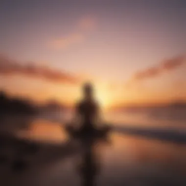 Sunset Meditation Bliss Mindfulness Meditation Silhouette at Sunset