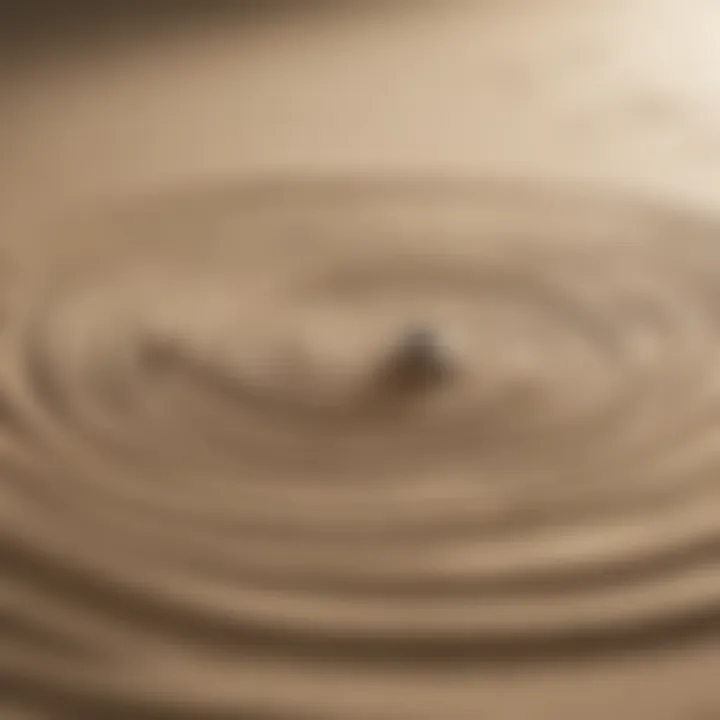 Zen garden with ripples in a sand pattern symbolizing tranquility