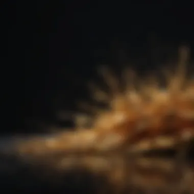 Golden Inspirations Abstract golden brush strokes on black background
