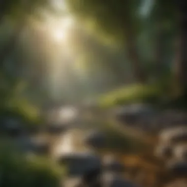 Tranquil Surroundings Illustration of a peaceful environment promoting relaxation