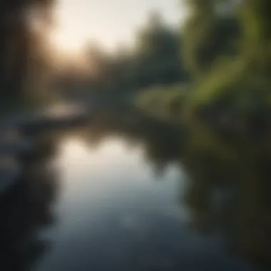 Nature Reflection Pond