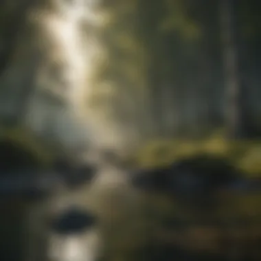 Finding Calm in Nature A serene landscape depicting tranquility and calmness