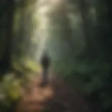 Person walking through a lush forest path