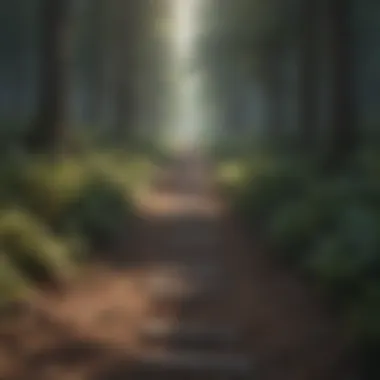 A path through a forest representing the journey towards self-acceptance