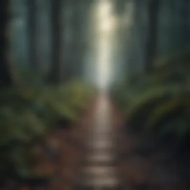Path to Connection A path through a forest, representing the journey of reconnecting