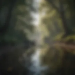 A serene landscape reflecting tranquility amidst emotional turmoil