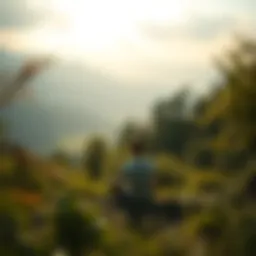 Serene landscape representing mindfulness