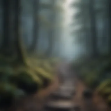 A path winding through a misty forest towards a bright light