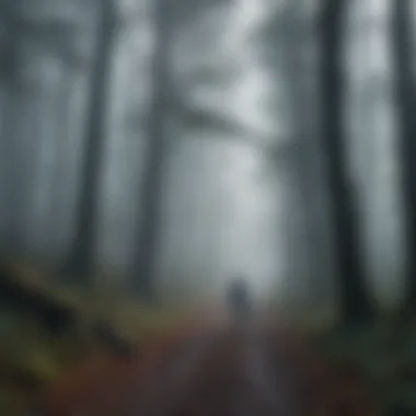 A person walking alone in a foggy forest