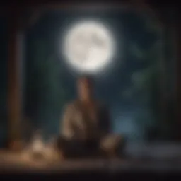 Meditation in Moonlight