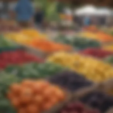 Organic Farmers Market with Colorful Produce