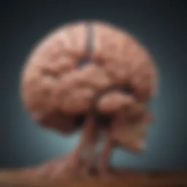 Understanding the Mind-Body Connection in Eating Illustration of a brain with mindfulness and eating habits interconnected