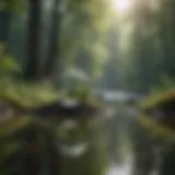 Serene nature scene promoting mindfulness