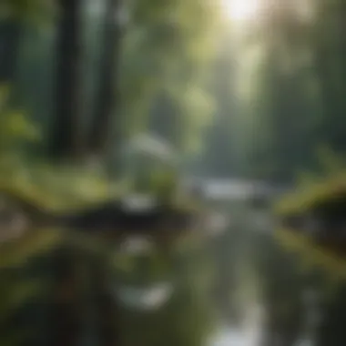 Serene nature scene promoting mindfulness