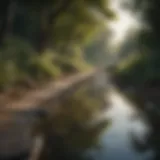 A serene landscape symbolizing tranquility and appreciation