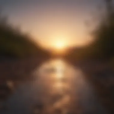 New Beginnings and Appreciation A sunrise symbolizing new beginnings and appreciation