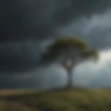 A lone tree standing tall against a stormy sky