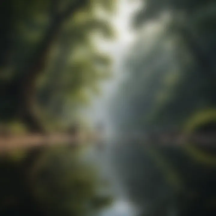 Mindfulness practices illustrated through serene natural landscapes.