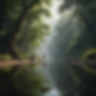 Mindfulness and Happiness Mindfulness practices illustrated through serene natural landscapes.