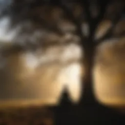 Silhouette of a person meditating under a tree