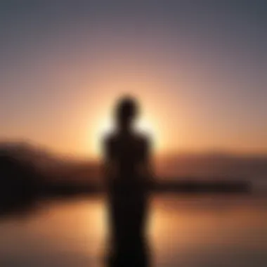 Silhouette of a person embracing the sunset