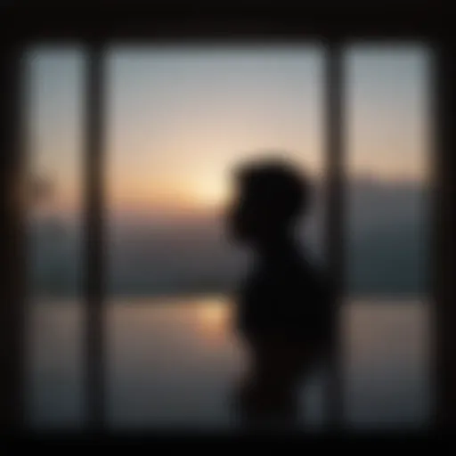 Silhouette of a person in contemplation