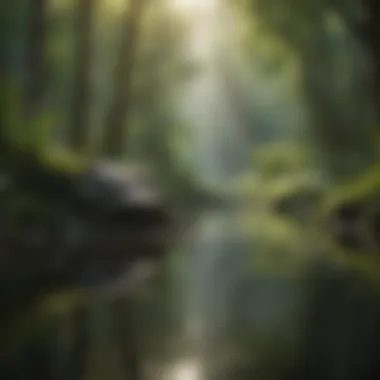 Mindful Movement in Tranquil Surroundings A serene nature scene promoting mindful movement