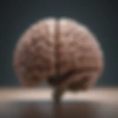 Understanding the Emotional Brain Illustration depicting the brain with emotional highlights