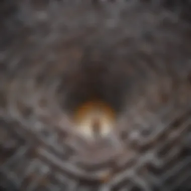 An intricate maze representing the complexity of emotional intelligence
