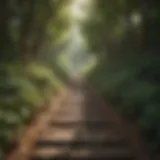 A serene landscape reflecting tranquility and self-discovery