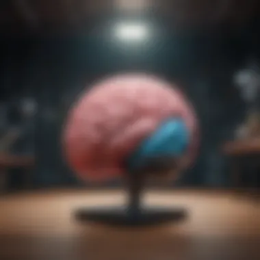 A vibrant brain gym showcasing various mental exercises.