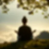 A serene landscape illustrating the peace found in meditation.