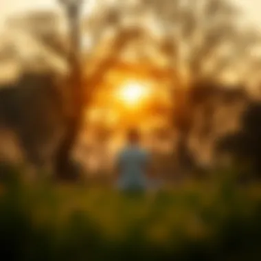 Mental Clarity Through Meditation A tranquil scene depicting the mental clarity achieved through meditation.